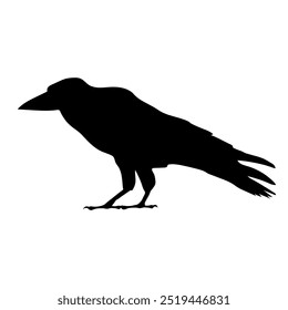 Bird Raven Crow Black Silhouette for Icon.