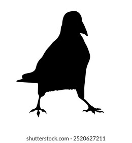 Bird Raven Crow Black Silhouette for Icon.