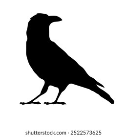 Bird Raven Crow Black Silhouette for Icon.