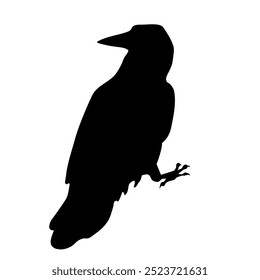 Bird Raven Crow Black Silhouette for Icon.