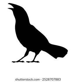 Bird Raven Crow Black Silhouette for Icon.