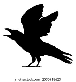 Bird Raven Crow Black Silhouette for Icon.