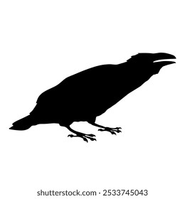 Bird Raven Crow Black Silhouette for Icon.