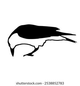 Bird Raven Crow Black Silhouette for Icon.