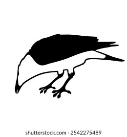 Bird Raven Crow Black Silhouette for Icon.