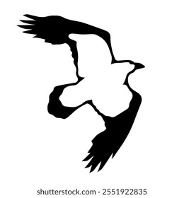 Bird Raven Crow Black Silhouette for Icon.