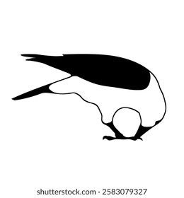 Bird Raven Crow Black Silhouette for Icon.