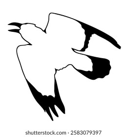 Bird Raven Crow Black Silhouette for Icon.