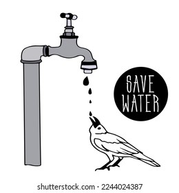 pájaro, cuervo está parado bajo un grifo de agua defectuoso con válvula, gota de agua que cae, bebidas de pájaro, lavados. Conservación del agua y los recursos. Ahorra agua. Ornitología. garabato