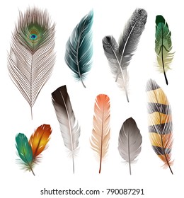 Bird realistic feathers set in different shape and color isolated vector illustration 