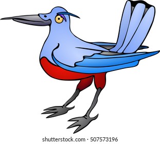 Bird with red belly. Bird picture for your design