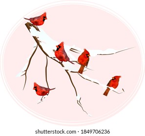 bird red cardinal on a branch covered with snow