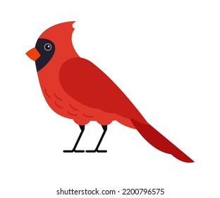 Cardenal rojo pájaro. Ilustración del vector