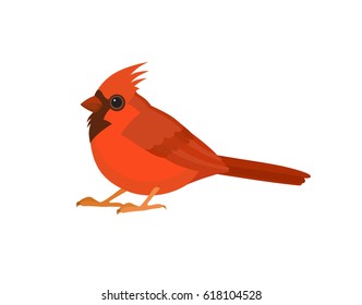 Bird with red feathers, isolated vector illustration.  Perfect cards or any other kind of design