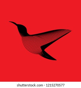 bird red vector illustration for web