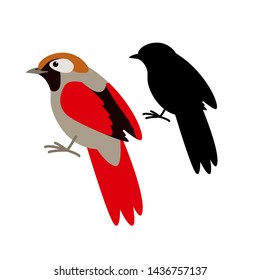 bird red-tailed haughing thrush,vector illustration,black silhouette,set