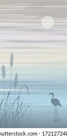 Bird reflected in the water, walks in shallow water among the reeds against the backdrop of the bay.Vector illustration evening sunset sky with clouds and the moon.