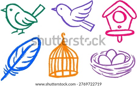 Bird Related Icons Crayon Chalk Drawing Doodle Vector Set