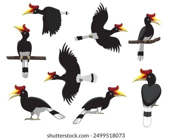 Bird Rhinoceros Hornbill Exotic Various Poses Cartoon Vector Character