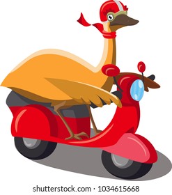bird riding vespa