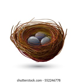 Bird robin nest and blue eggs on white isolated. Hand drawn realistic spring design. Vector illustration stock vector.