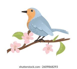 Bird robin sits on a cherry branch with flowers. Vector illustration.