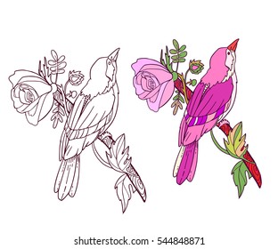 Bird and rose flower coloring book page. Vector illustration isolated on white.