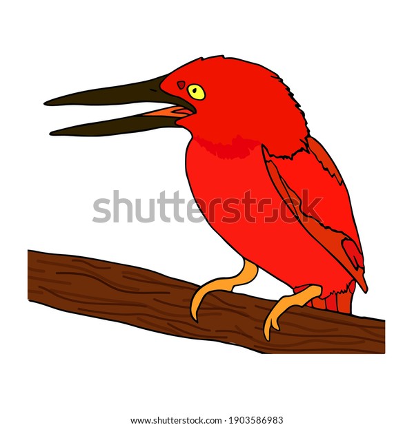 Bird rufous back kingfisher with red head and
wing. Vector illustration of red bird on tree isolated on white
background. Kingfisher with open red beak sits on branch. Colorful
wild bird vector