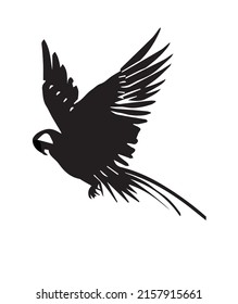 Bird Running Wings Free vector. for free eps file