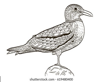bird seagull coloring book for adults vector illustration. Anti-stress coloring for adult. Zentangle style nature. Black and white lines. Lace pattern.