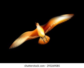 Bird seagull consisting of the flames Phoenix