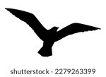 Bird seagull illustration on white background