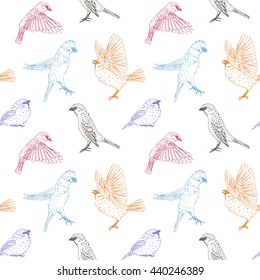 bird seamless pattern, sparrow print