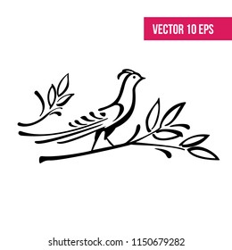 Bird, bird set, 10 eps vector.  Negative space