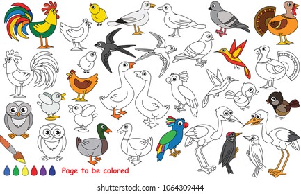Bird set to be colored, the coloring book for preschool kids with easy educational gaming level.