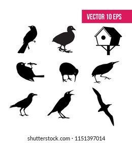 Bird set,  birdhouse, flat icon, 10 eps vector, icon pack