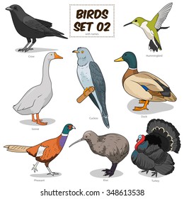 Bird set cartoon colorful vector illustration. Educational material