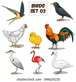 Bird set cartoon colorful vector illustration. Educational material