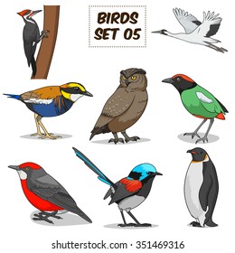 Bird set cartoon colorful vector illustration. Educational material