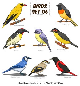 Bird set cartoon colorful vector illustration. Educational material