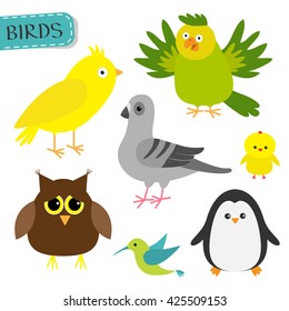 Bird set. Colibri, canary, parrot, dove, pigeon, owl, chiken penguin. Cute cartoon characters icon. Baby animal zoo collection. Isolated White background Flat design Vector illustration