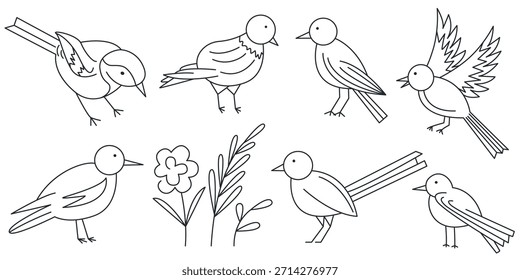 Bird set in doodle sketch style