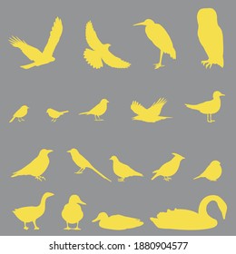 Bird set. gray background with yellow birds: owl,heron, tit,kite,gull,swan,finch,duck