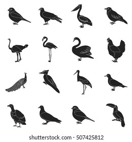 Bird set icons in black style. Big collection of bird vector symbol stock illustration