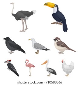 Bird set icons in cartoon style. Big collection of bird vector symbol stock illustration