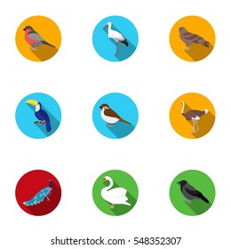 Bird set icons in flat style. Big collection of bird vector symbol stock illustration