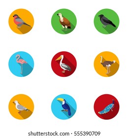 Bird set icons in flat style. Big collection of bird vector symbol stock illustration