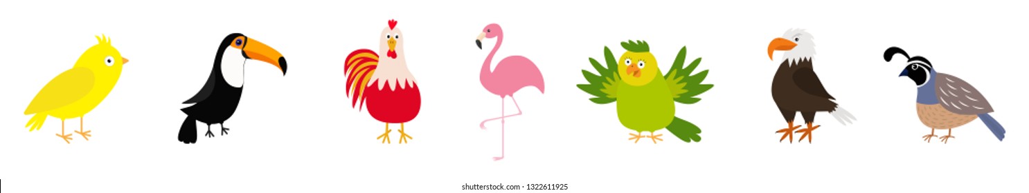 Bird set line. Canary, toucan, cock rooster, parrot, flamingo, eagle, quail. Cute cartoon characters icon. Baby animal zoo collection Isolated White background Flat design Vector illustration