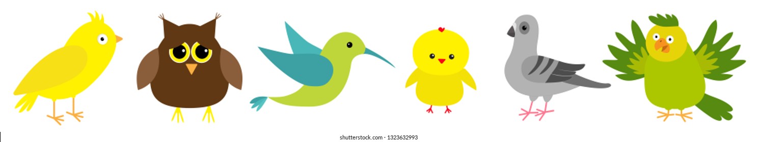 Bird Set Line. Colibri, Canary, Parrot, Dove, Pigeon, Owl, Chicken. Cute Cartoon Characters Icon. Baby Animal Zoo Collection Isolated White Background Flat Design Vector Illustration