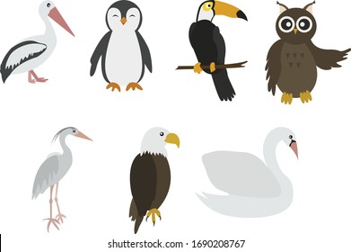 Bird set with pelican, penguin, toucan, owl, eagle, swan, heron cartoon colorful vector illustration. Educational material